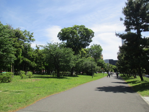 14夢の島公園７