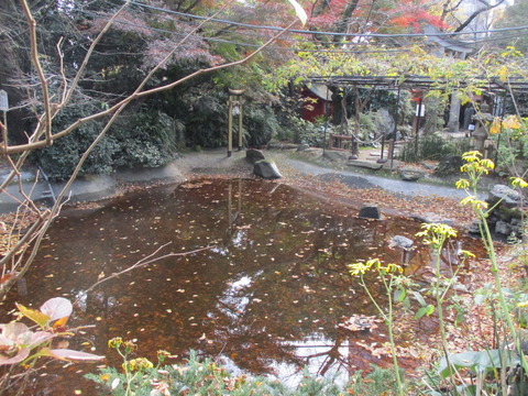85池1