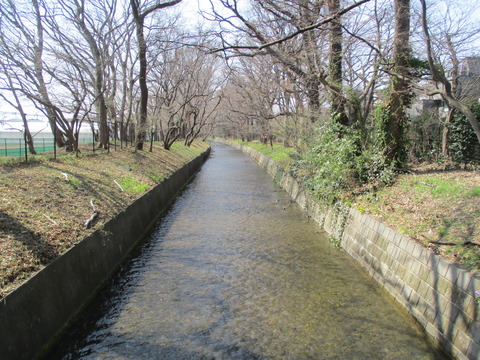 105千手小橋3