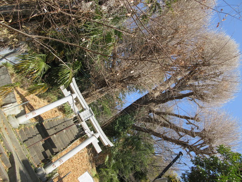 53水神社4