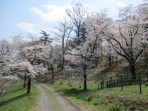 150野土山1