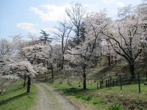 150野土山１