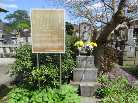 155専光寺7