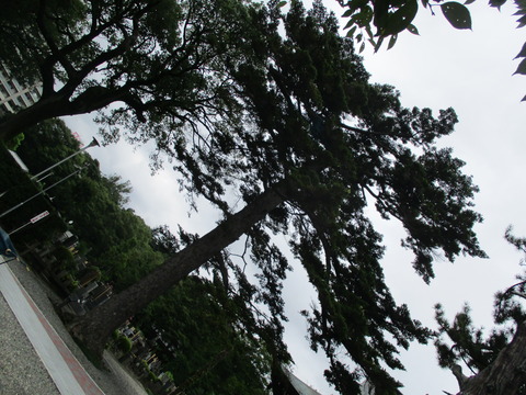 59安養寺17