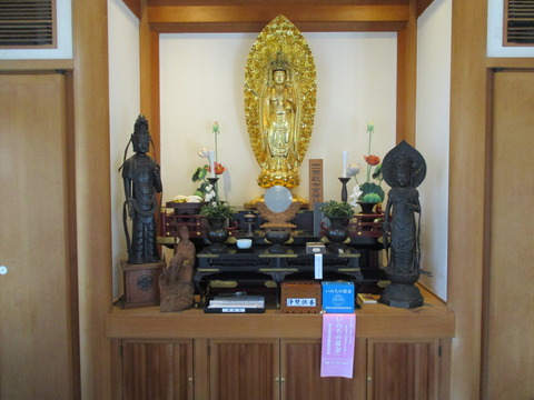 135傳通院15
