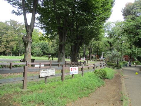 108世田谷公園5
