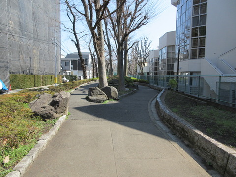 185桜川緑道5