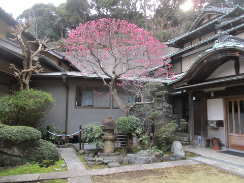 285法性寺29