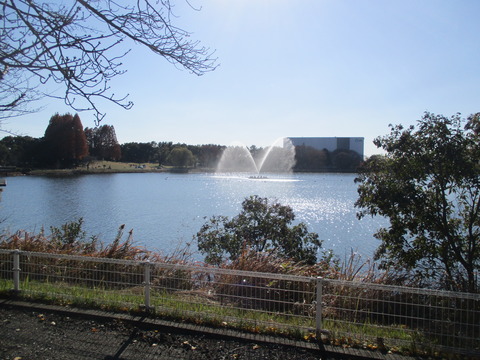 187公園へ5