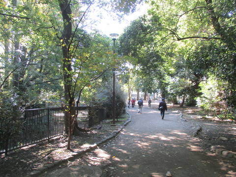 09武蔵関公園7