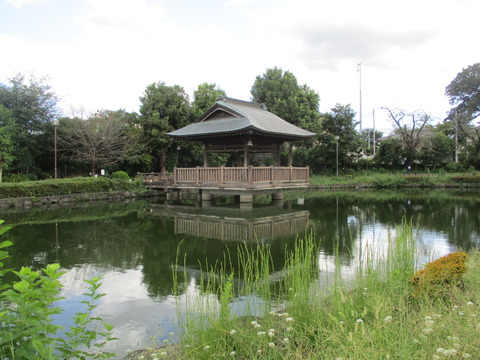 247上沼公園6