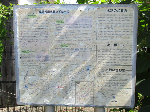163公園6