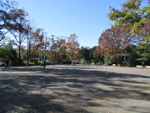 62菊名池公園6