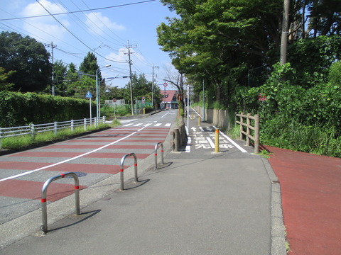 81多摩湖自転車歩行者道1