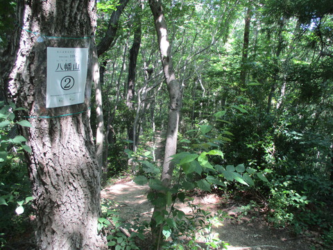 46八幡山②1