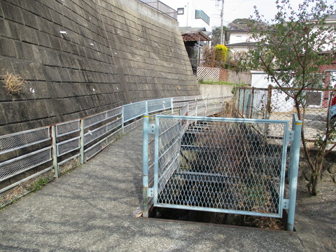 222川沿い2