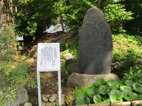 26東郷神社22