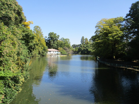 06武蔵関公園４