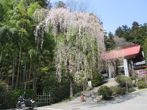 145宝登山神社６