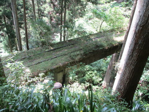 86線路沿い6