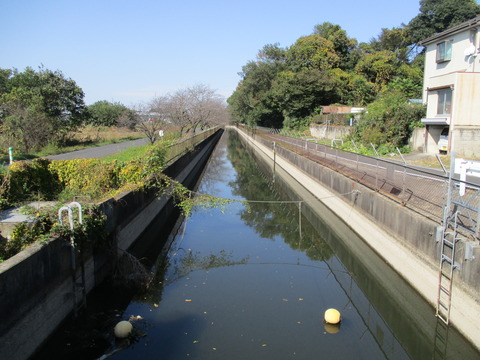 109八幡橋3