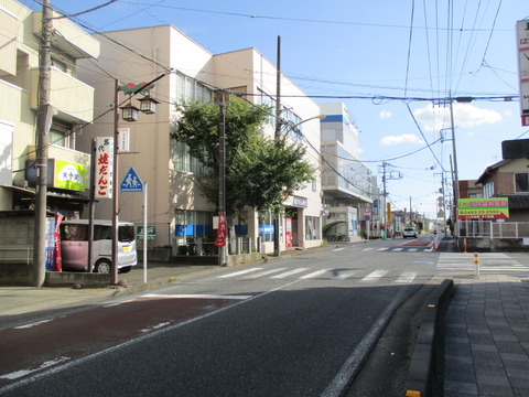 276なんじゃもんじゃの木1