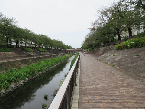 67川べり１