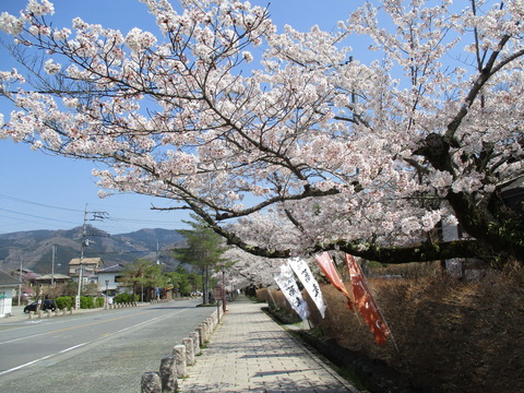 148参道へ1