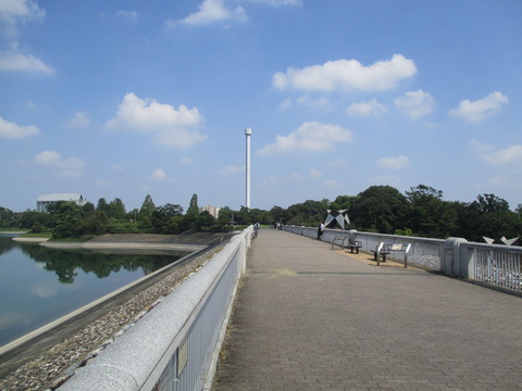 46多摩湖4