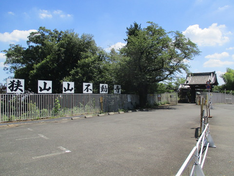 166桜井門1