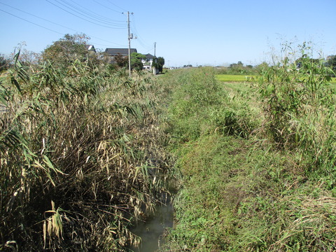 80隼人堀川2