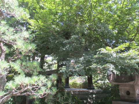 98祥雲寺3