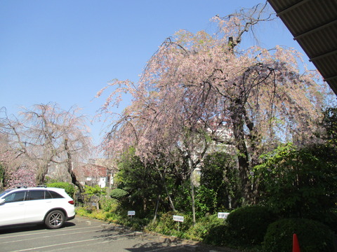 20西念寺4