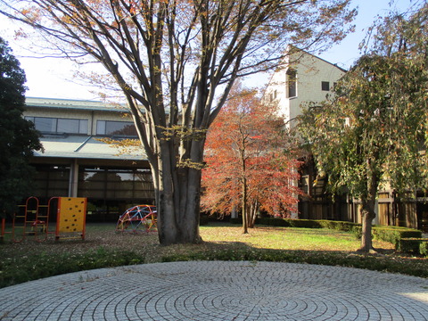 168蓮田市役所3