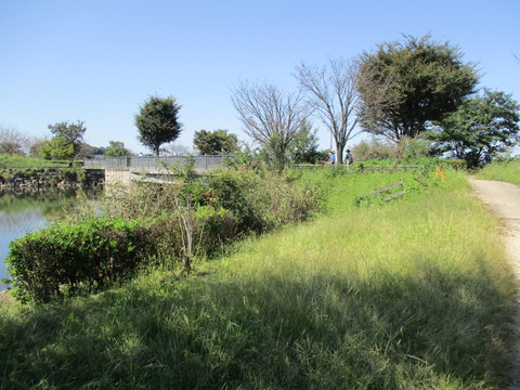 100柴山沼10