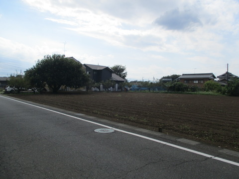223梨園