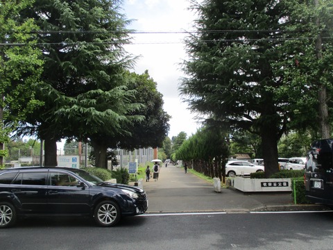 115世田谷公園北側