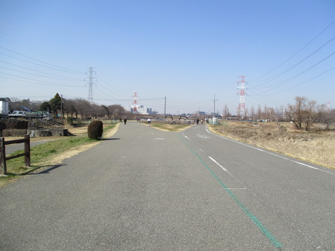 118柏ふるさと公園1