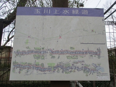 40千手橋3