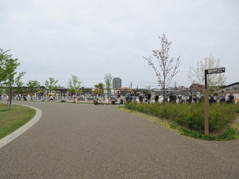 13石神井川沿い３