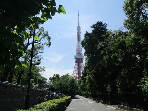 183増上寺近く