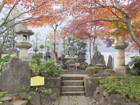 146傳通院26