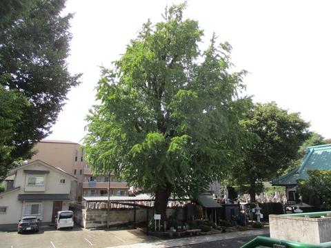 200円泉寺29