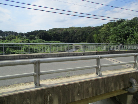 233市野川横断2