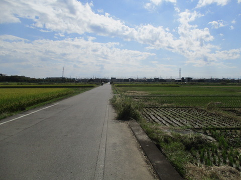 229田園風景