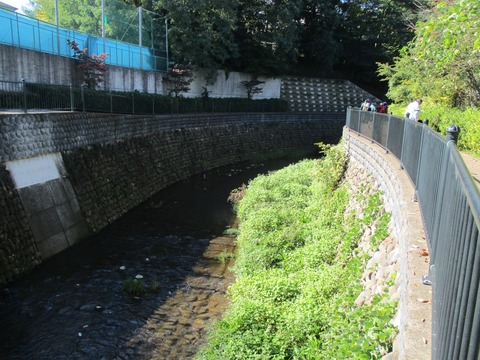 14石神井川1