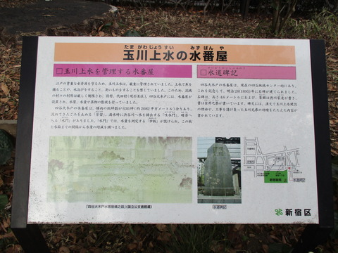 61散歩道20