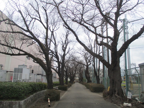 57砂川高校前