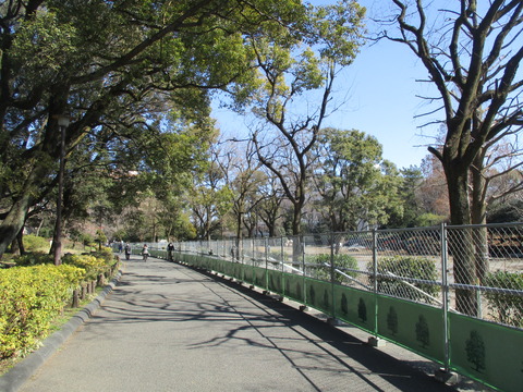 156広場側2