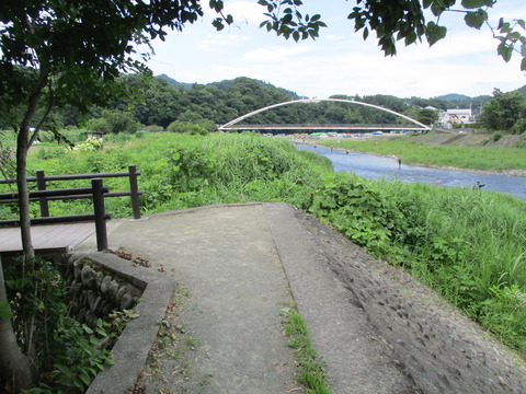 242遊歩道6